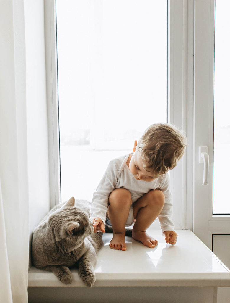 Family Solutions Collaborative - Emergency Family Housing Vouchers